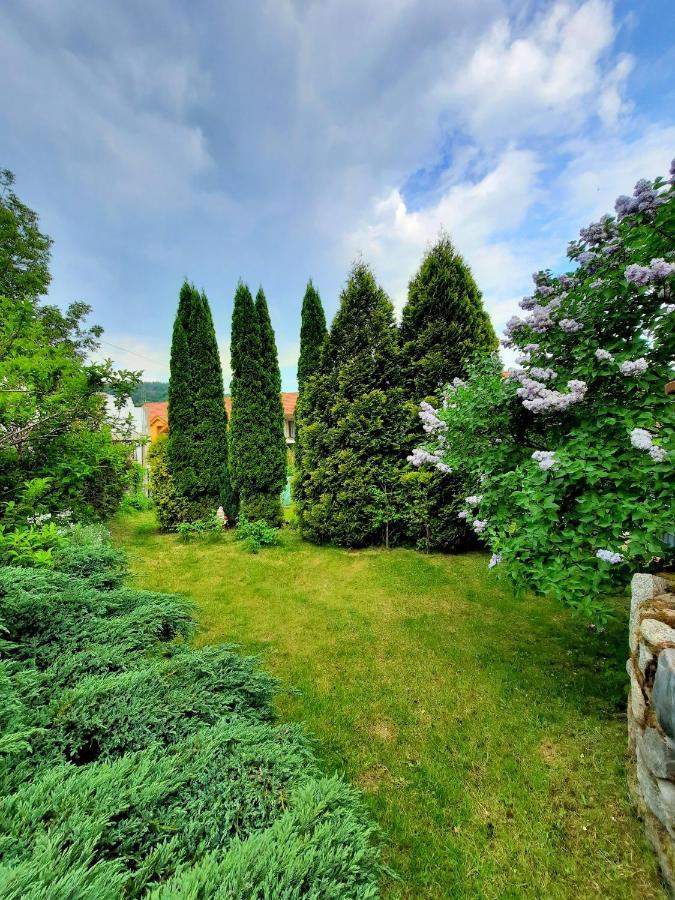 Apartament Albion *